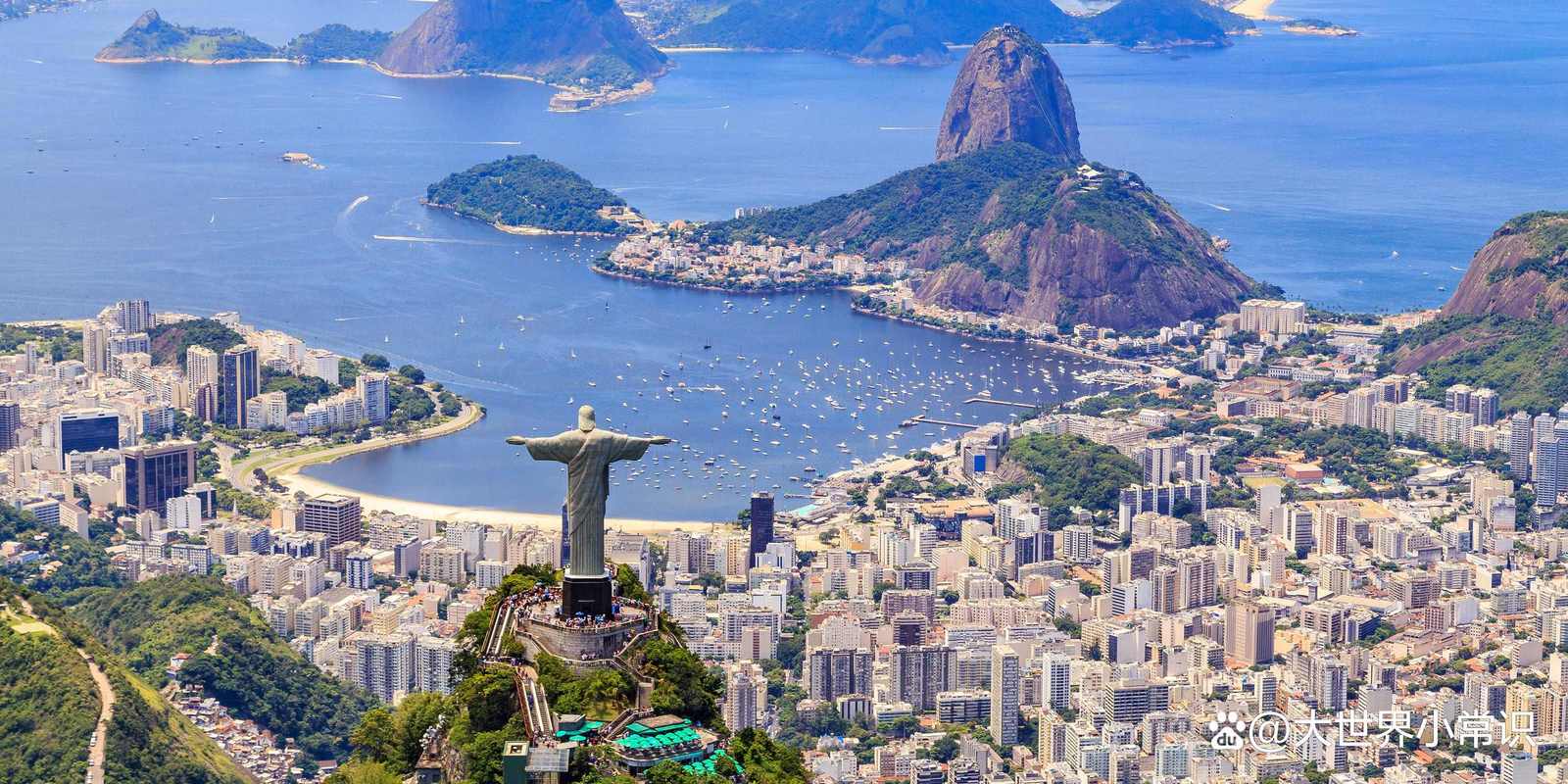 plataforma-de-apostas-tigre - Mercado de apostas brasileiro